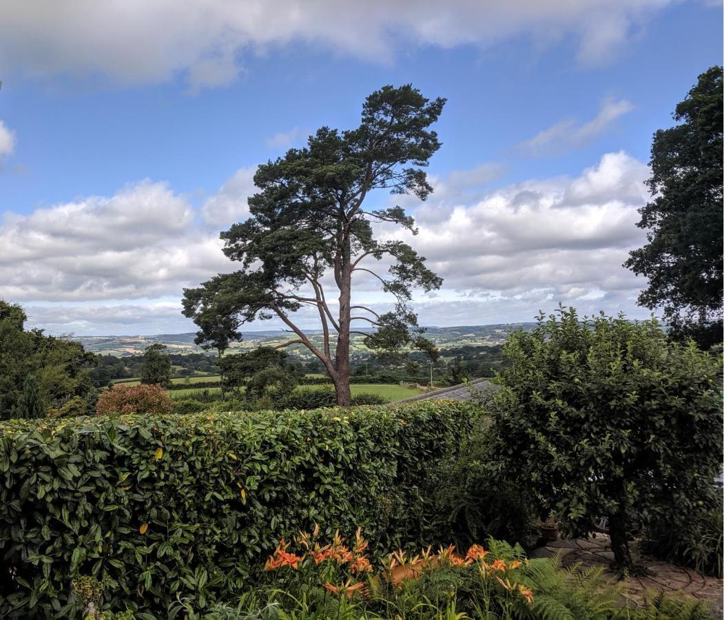 Stunning Countryside Views & Private Balcony! Cozy Room, 3 Miles To Lyme Regis - Free Parking & Wifi Аксминстър Екстериор снимка
